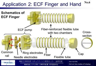 ECF finger and hand