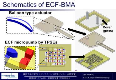 Micropump-integrated Balloon Type Microactuator